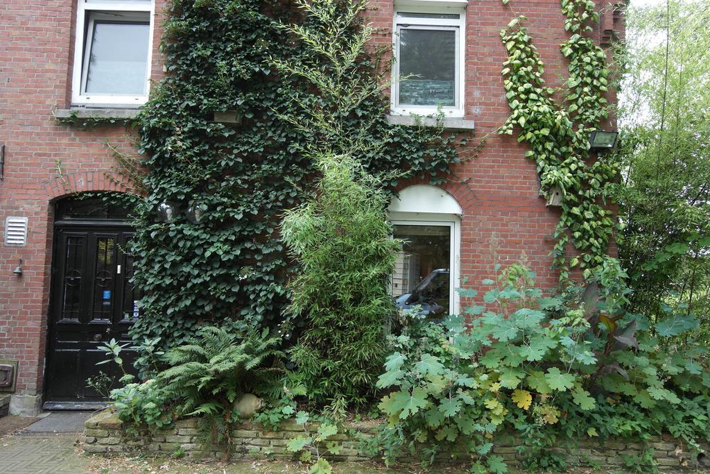 Art, Bed & Breakfast Velden Ngoại thất bức ảnh